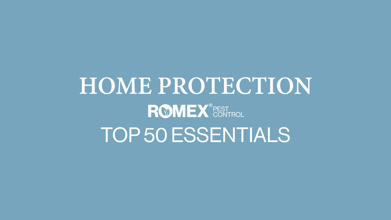 Home Protection Essentials: Top 50 Must-Haves